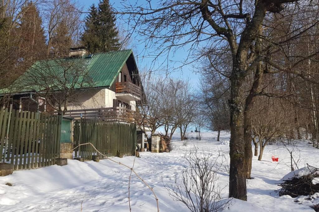 Chata Na Poskle U Lesa S Vyhledem Hutisko Exterior photo